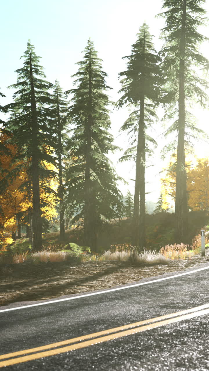 un camino sinuoso a través de un bosque en otoño, con la luz del sol brillando a través de los árboles