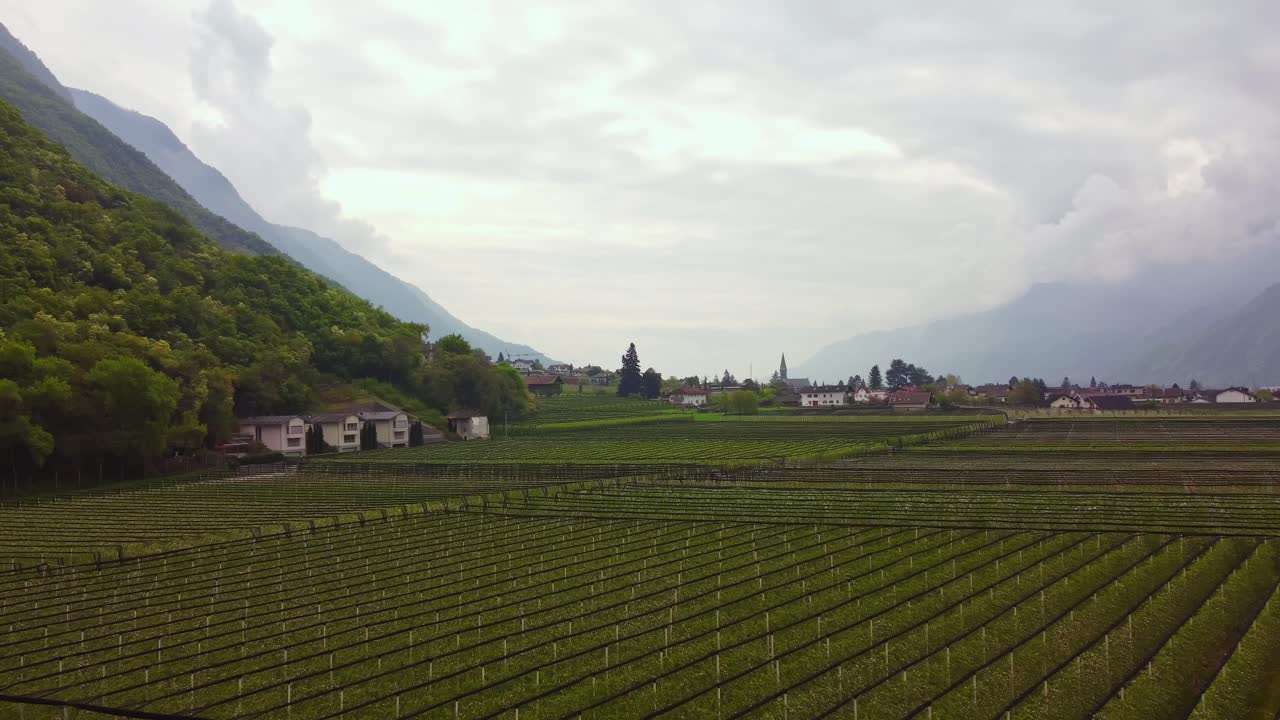 Apple tree plantation and countryside town in Italy, low angle aerial view