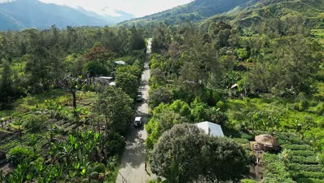 vehicles travelling on an unsealed road through remote villages in the highlands of new guinea