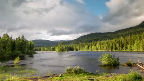 Norwegen-Stromschnellen-Farn-4k-03