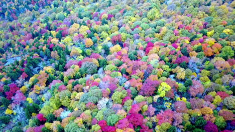 Espectacular-Color-De-La-Hoja-Aérea,-Abuelo-Montaña-Nc,-Abuelo-Montaña-Carolina-Del-Norte