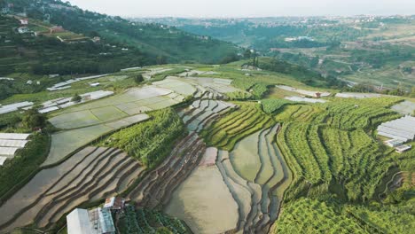aerial view of rice terraces in the hills of nepal