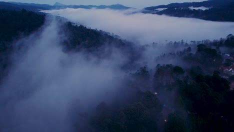 멕시코 오아카카 주 산호세 델 파시피오의 어두운 숲의 드론 영상