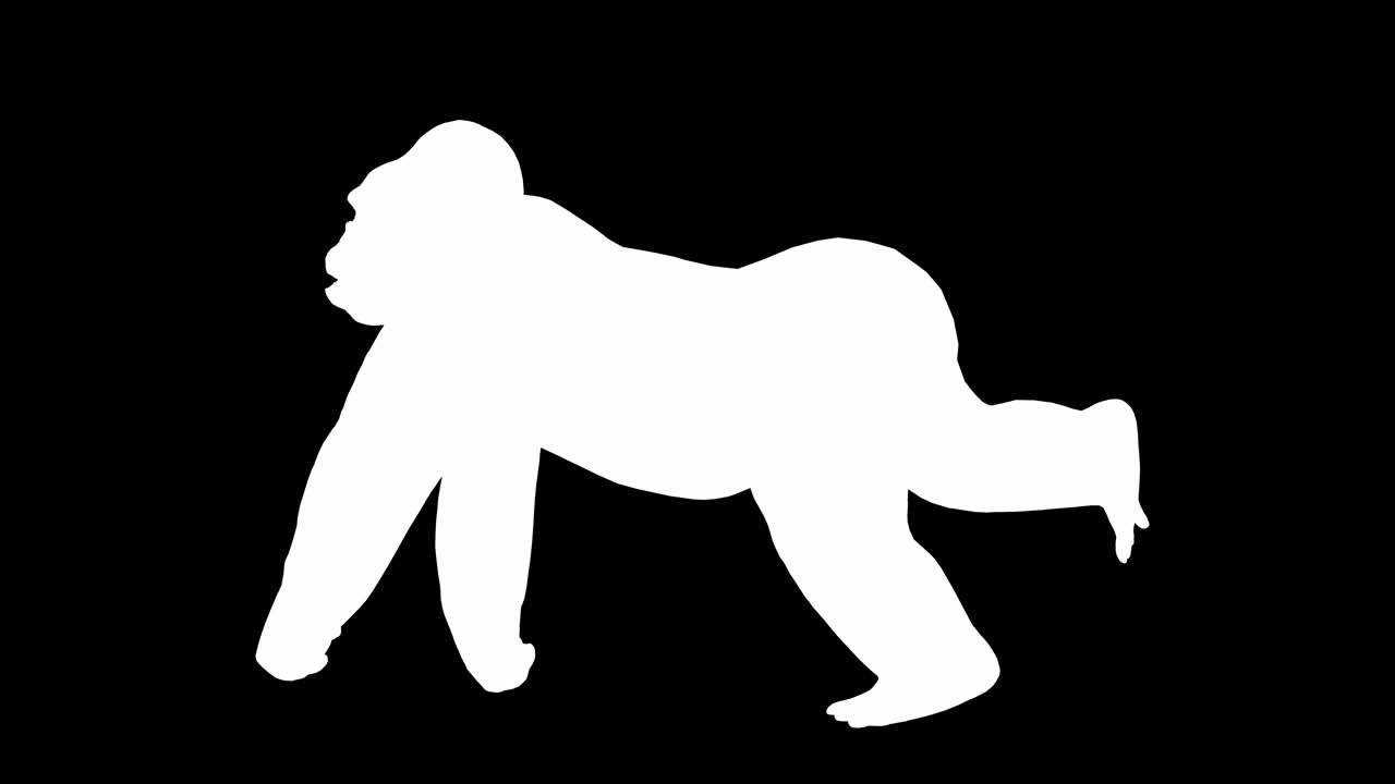 un gorila corriendo sobre fondo negro con canal alfa incluido al final del video, animación 3d, vista lateral, animales animados, animación de bucle sin costuras