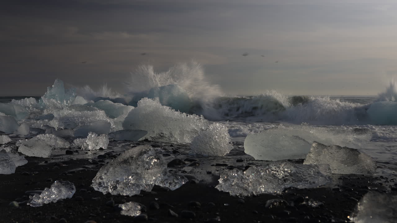 Beautiful clear ice pieces shining on black sand at Diamond Beach, Iceland, ocean waves crash in background