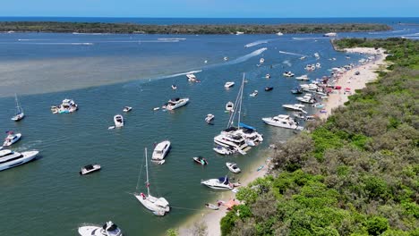 boats gather for festive beach celebration