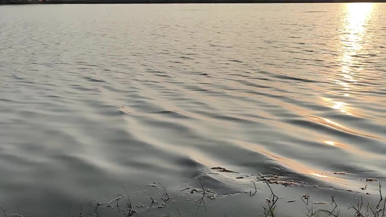 Ondulaciones suaves en un lago tranquilo al atardecer.