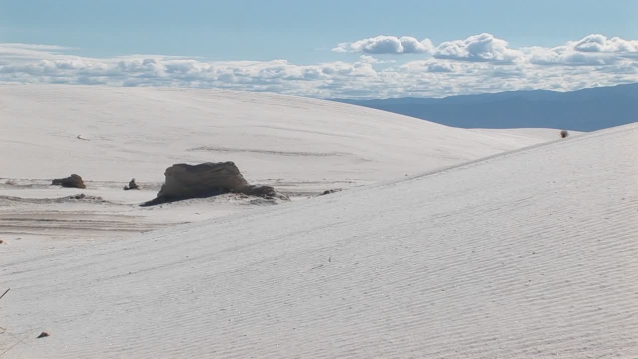 뉴멕시코의 백사장 국립 기념물에 있는 사구의 팬라이트와 울퉁불퉁한 식물