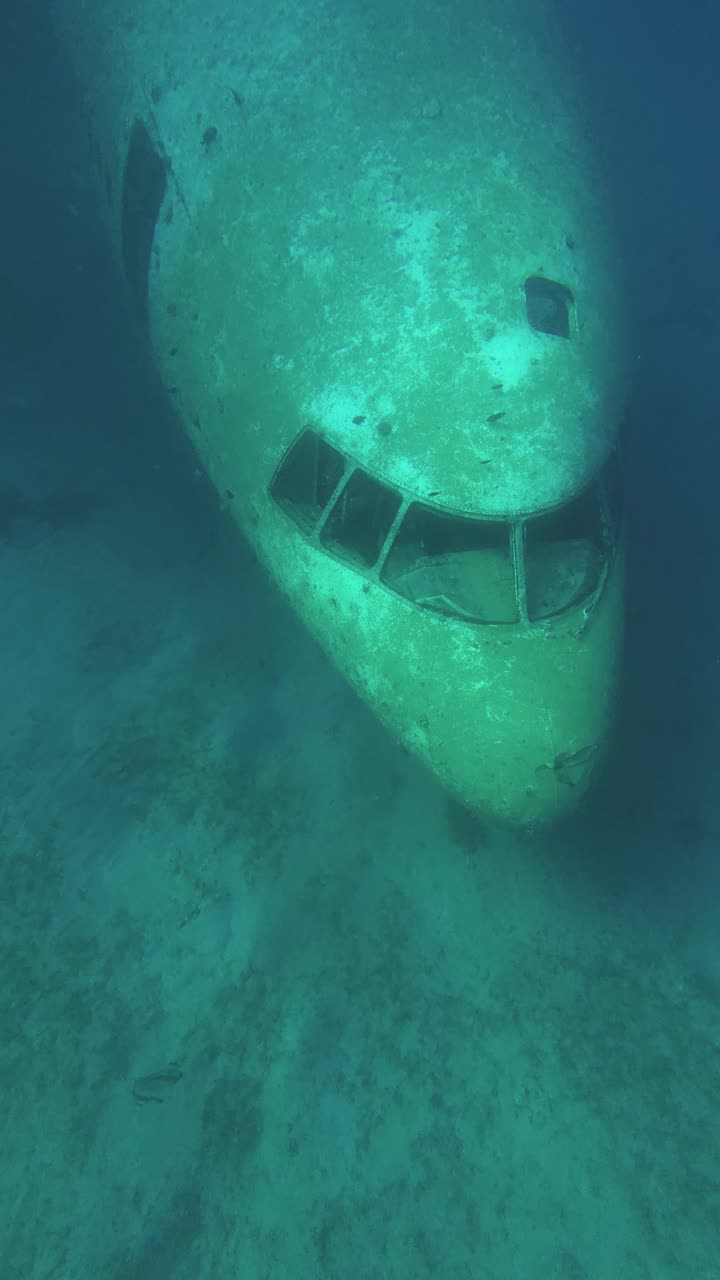 Snorkling i Rødehavet i Aqaba, Jordan, Sunken Plane. Lodret visning
