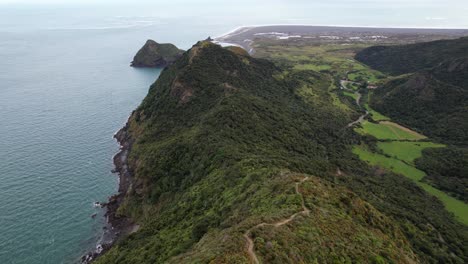 omanawanui track overlooking wonga wonga bay and paratutae island in auckland, new zealand