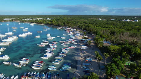 view of a coast full of boats with a stunning environment with palm trees