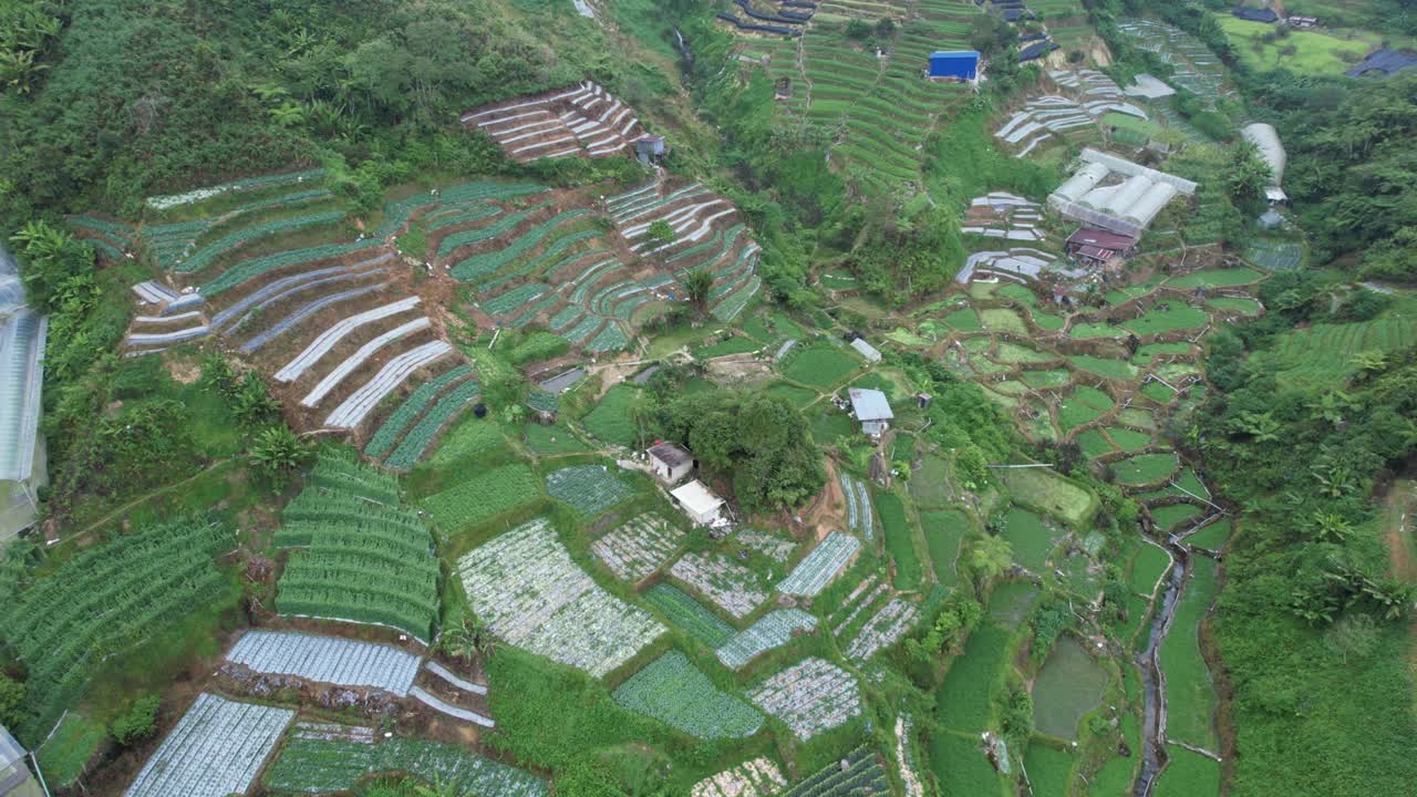 vista general del paisaje del distrito de brinchang dentro del área de cameron highlands de malasia