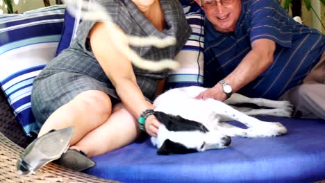 senior couple relaxing with a dog at home