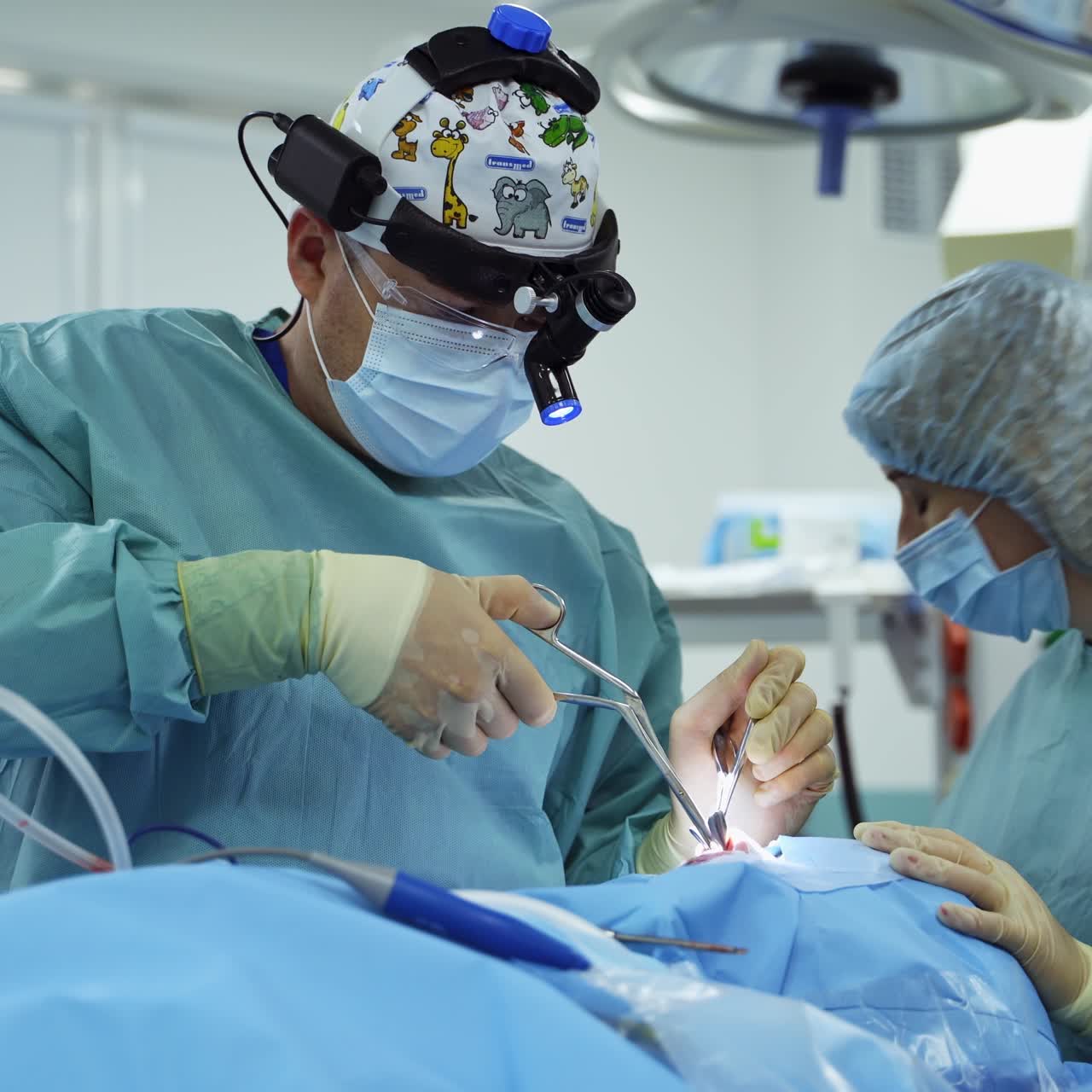 Applying metal instruments in otolaryngology operation. Female nurse helping the doctor and cleaning the tool. Modern surgical room backdrop