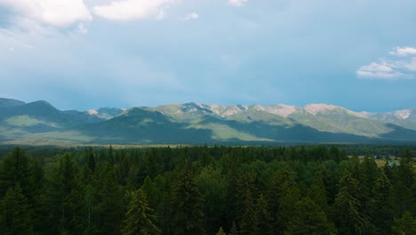 Aerial-drone-fly-over-lush-green-forest-of-trees-with-clouds-casting-shadows-over-Montana-mountain-range-in-the-background