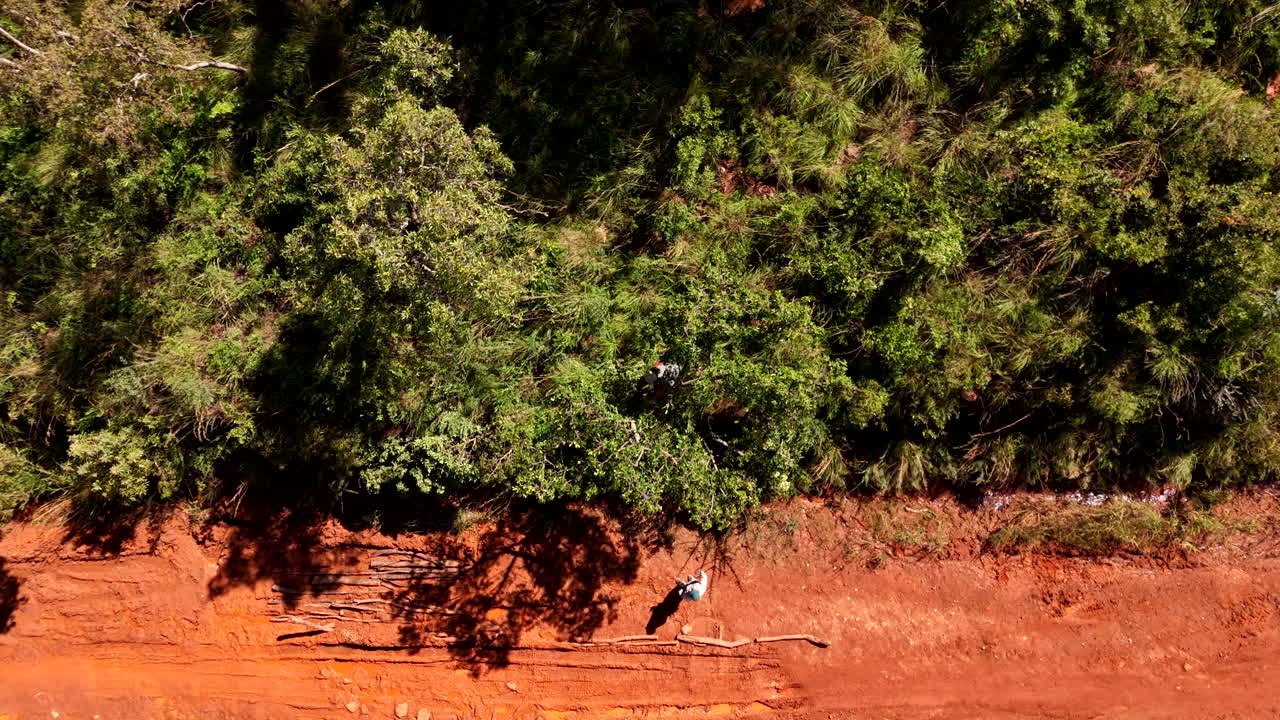 Worker barely escapes falling tree branch being felled next to dirt road, drone