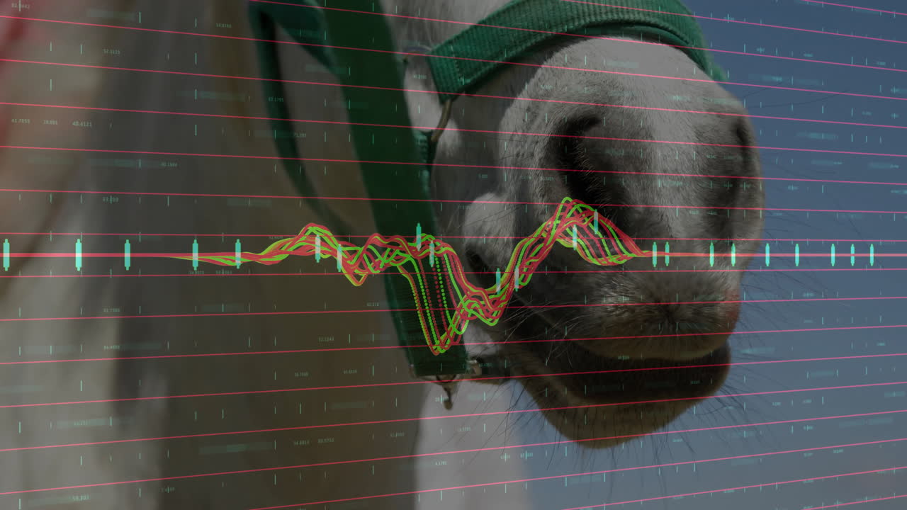 Horse muzzle displaying digital data overlay moving in scene, with red grid lines and waveforms