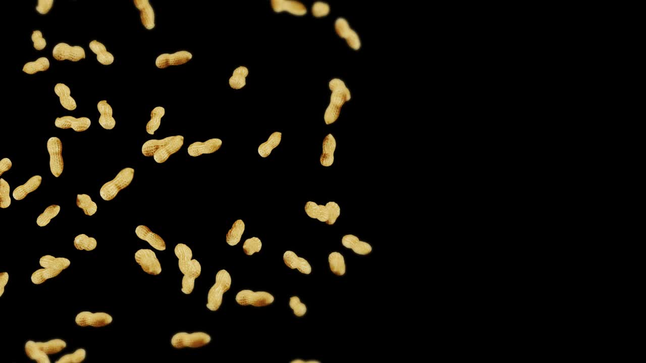 Flying many peanuts on black background. Raw peanuts. Groundnuts in shells. Healthy organic food. 3D loop animation of seed rotating.