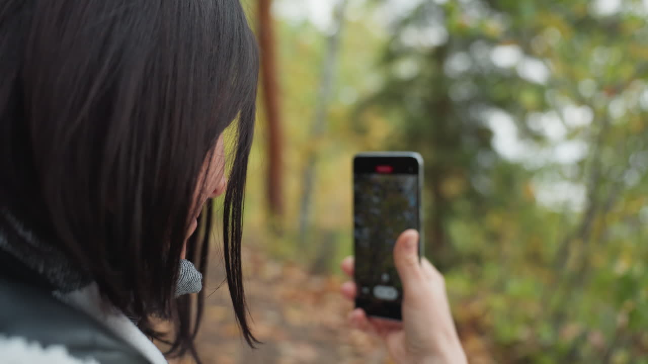 Donna che filma la natura, registra le foglie degli alberi e l'ambiente circostante della foresta, cattura la chioma pacifica della foresta con la messa a fuoco dello smartphone, donna che documenta rami e foglie lussureggianti in una tranquilla scena forestale