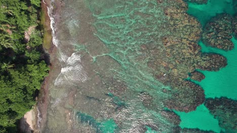 Aerial shot pulling backward revealing lush greenery meeting coral reefs and shoreline at Puerto Viejo beach, Costa Rica.