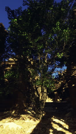 sunlit ancient ruins amid lush greenery in a tranquil setting