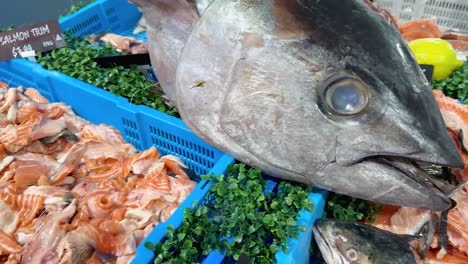 variety of seafood showcased at australian market