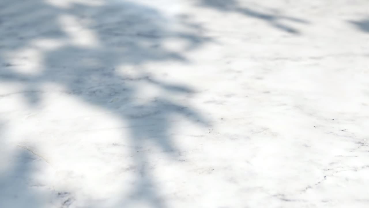 Moving Shadows of Leaves on White Marble Surface