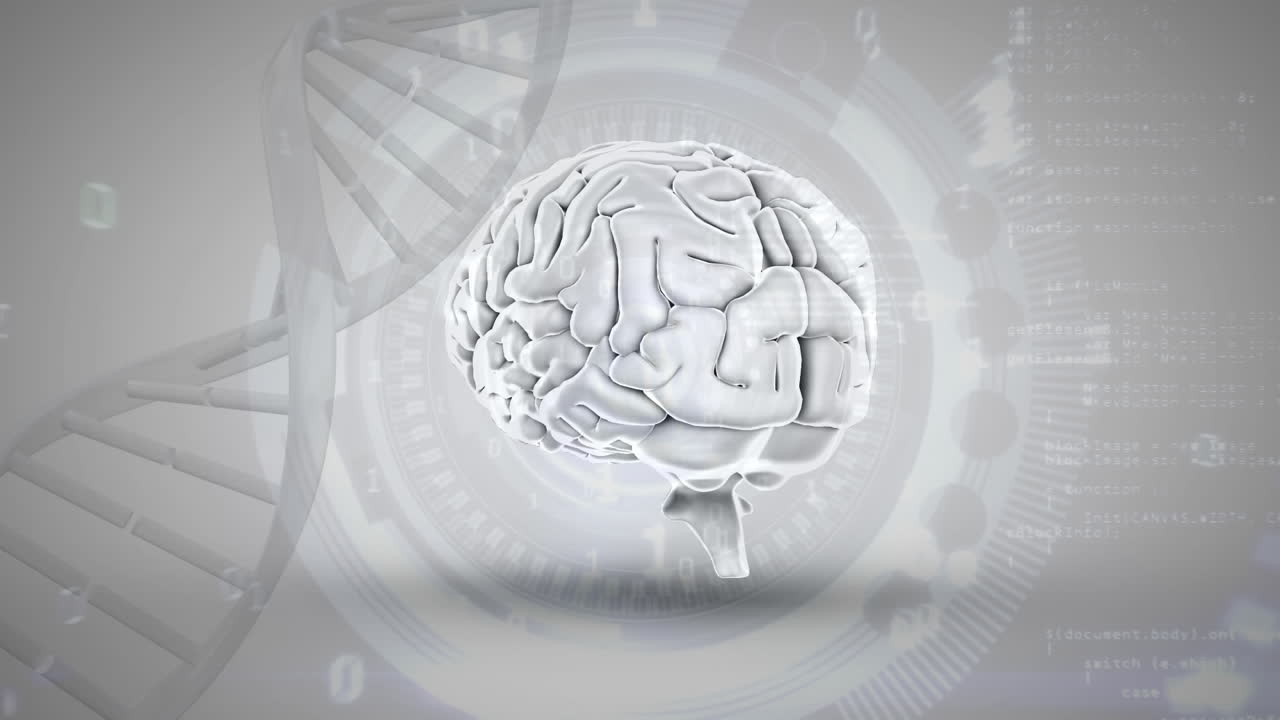 Human brain, DNA helix and numbers