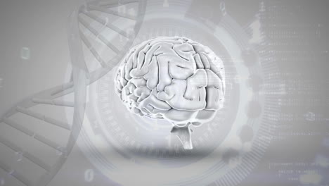 인간의 뇌, dna 헬릭스 및 숫자
