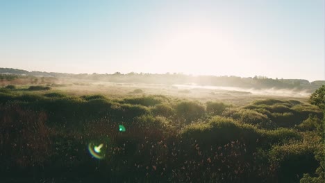 wet misty bog at sunrise - aerial view