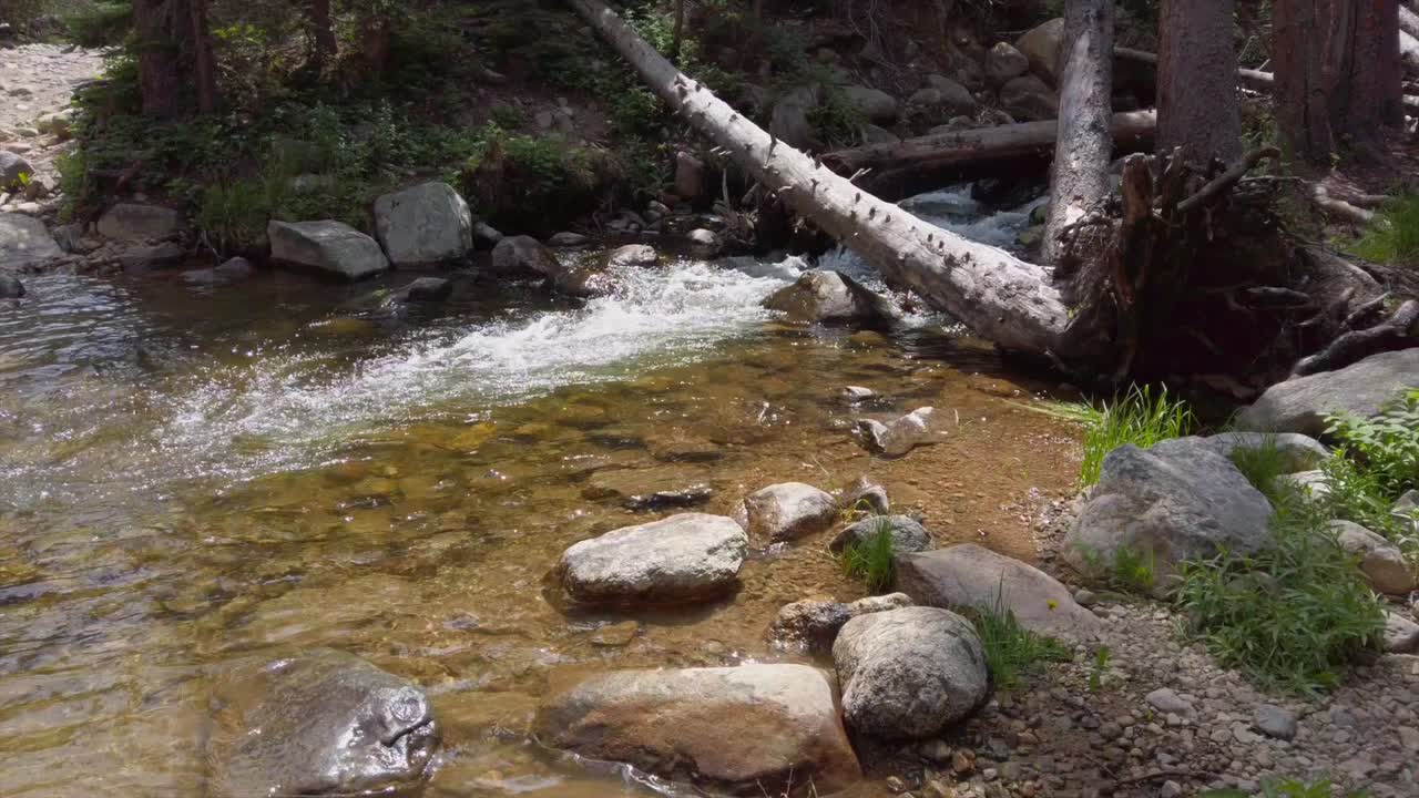 arroyo de montaña en el bosque de colorado