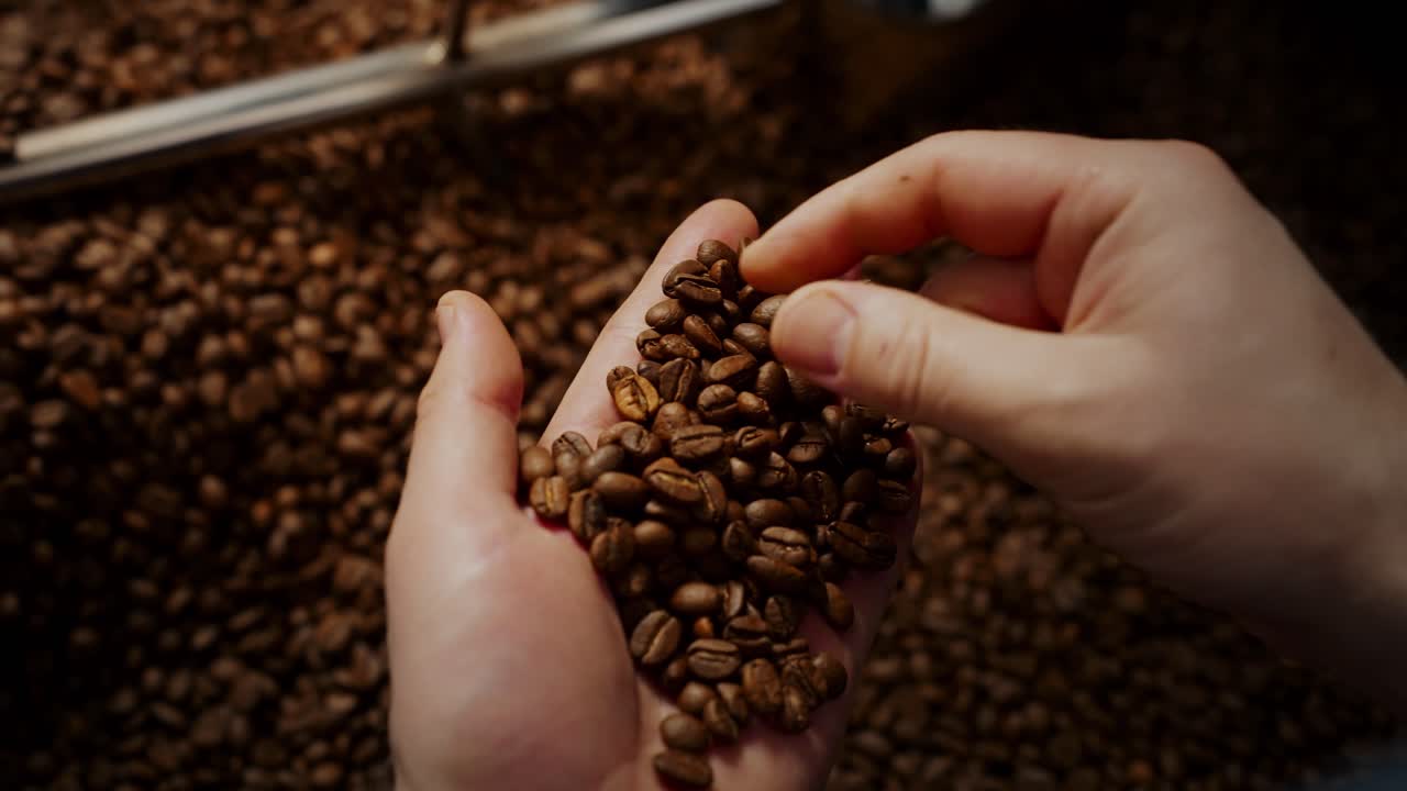 Hands sorting coffee beans