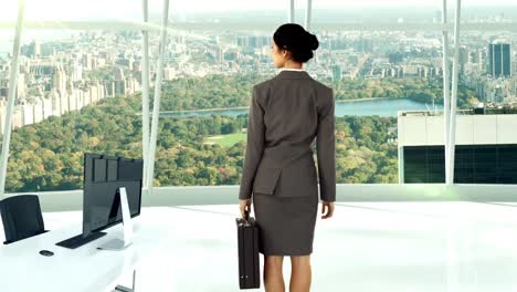 Rear-view-of-businesswoman-standing-in-office-with-briefcase