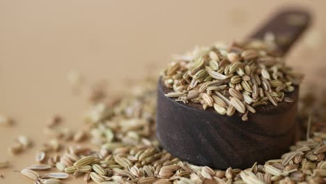 fennel seeds in a wooden spoon