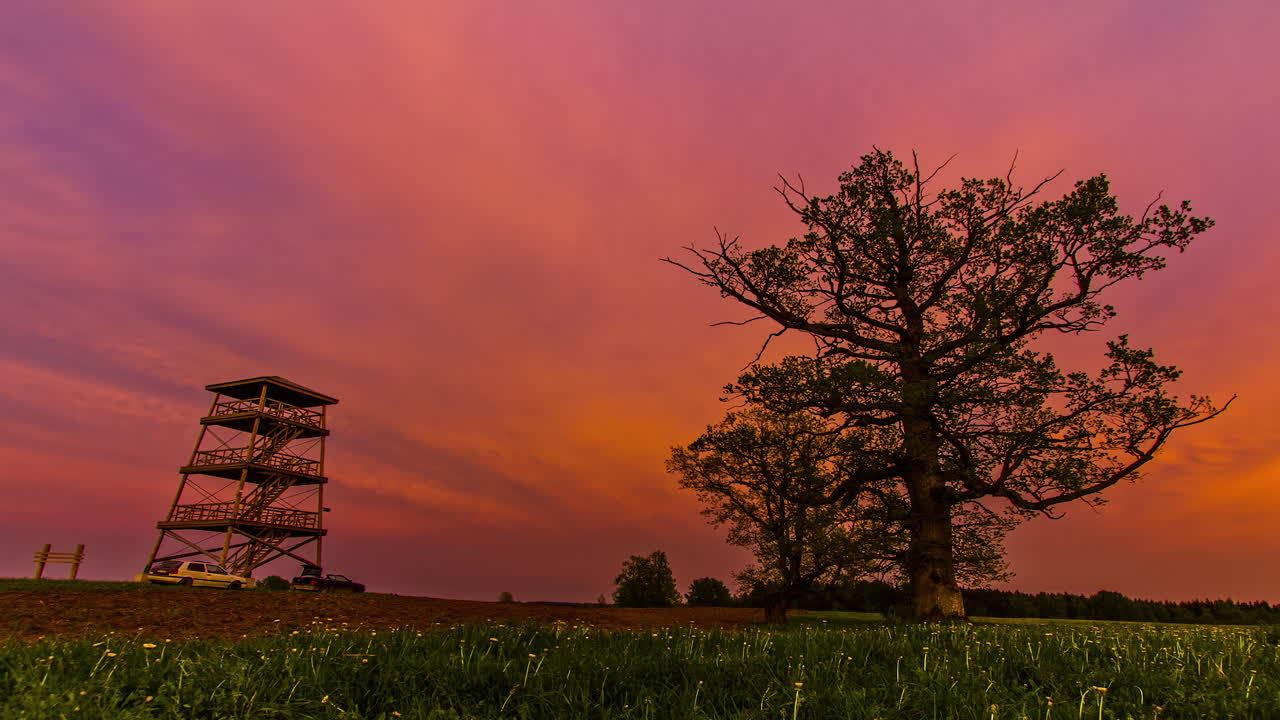 Low angle shot of scenic forest landscape with tourists going up and down the wooden viewpoint on the outskirts of forest during evening time in timelapse