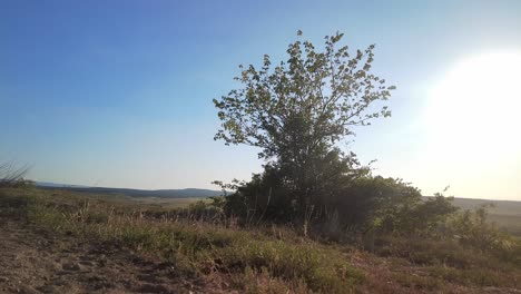 As-the-sun-begins-to-set,-the-countryside-hills-are-bathed-in-a-golden-light