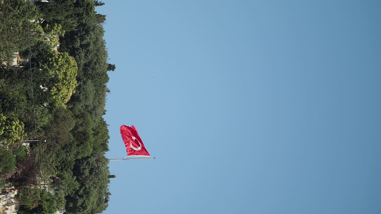Turkish flag against a clear blue sky and trees