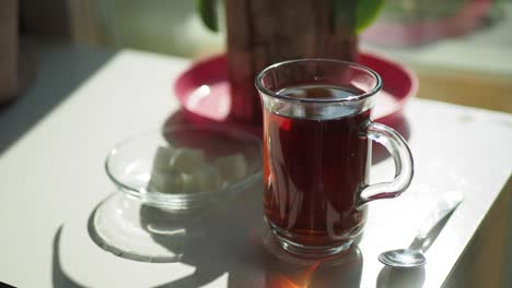 tea on a table near window with plant