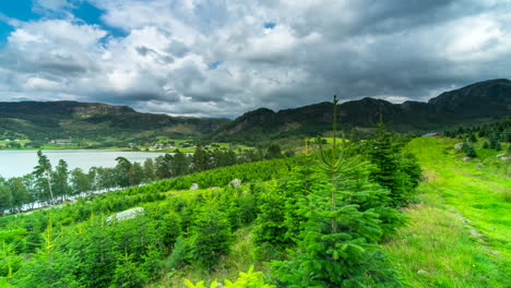 Lapso-De-Tiempo-De-Los-Abetos-Del-árbol-De-Navidad-Que-Crecen-En-Noruega-Con-Montañas-Y-Lago