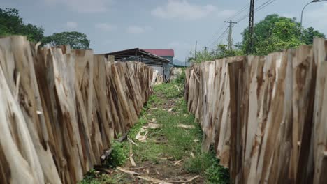 stacked lumber drying in a rural setting