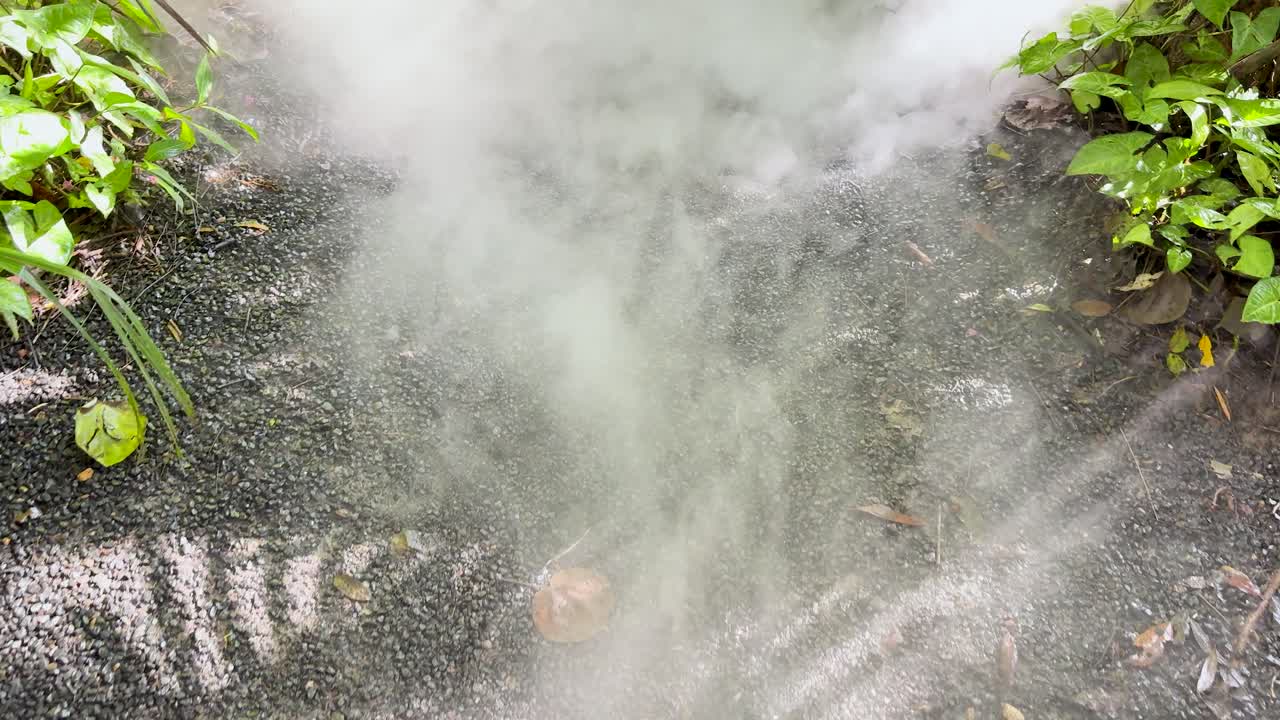 Dense mist or fog emerges and spreads across a gravel path in a lush garden