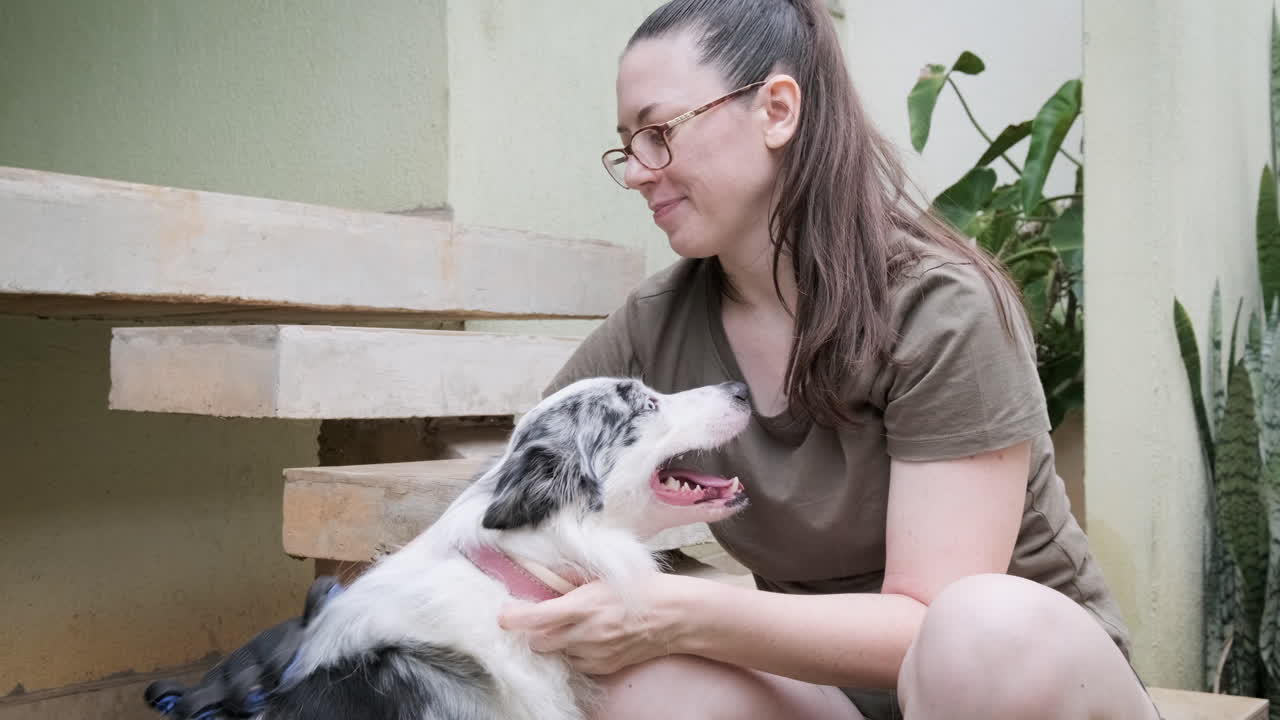 한 여자 가 자기 정원 에서 과도 한 털 을 제거 하기 위해 오스트레일리아 목자 개 를 장갑 으로 는다