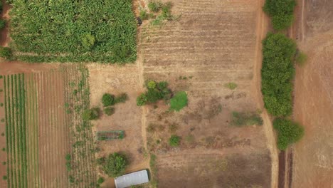 Savanna-desert-Brazil,-farming-industry-sanctuary-for-vegetables