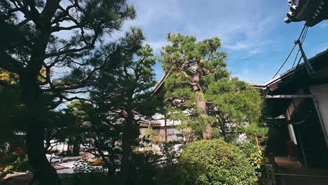 japanese garden scenery