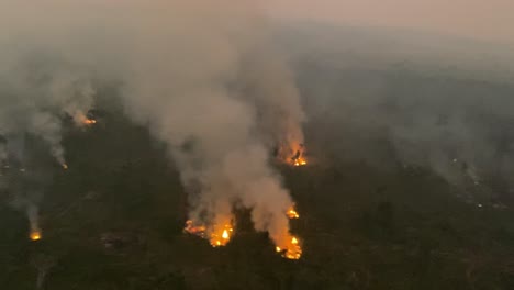 volando sobre la selva amazónica en un helicóptero mientras los incendios forestales destruyen el hábitat tropical