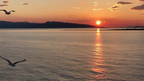 Möwen-Fliegen-Bei-Sonnenuntergang-über-Dem-Mittelmeer-Mit-Einer-Filmischen-Meereslandschaft-Im-Hintergrund