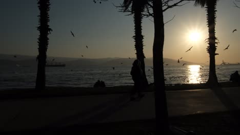 silueta del parque al atardecer