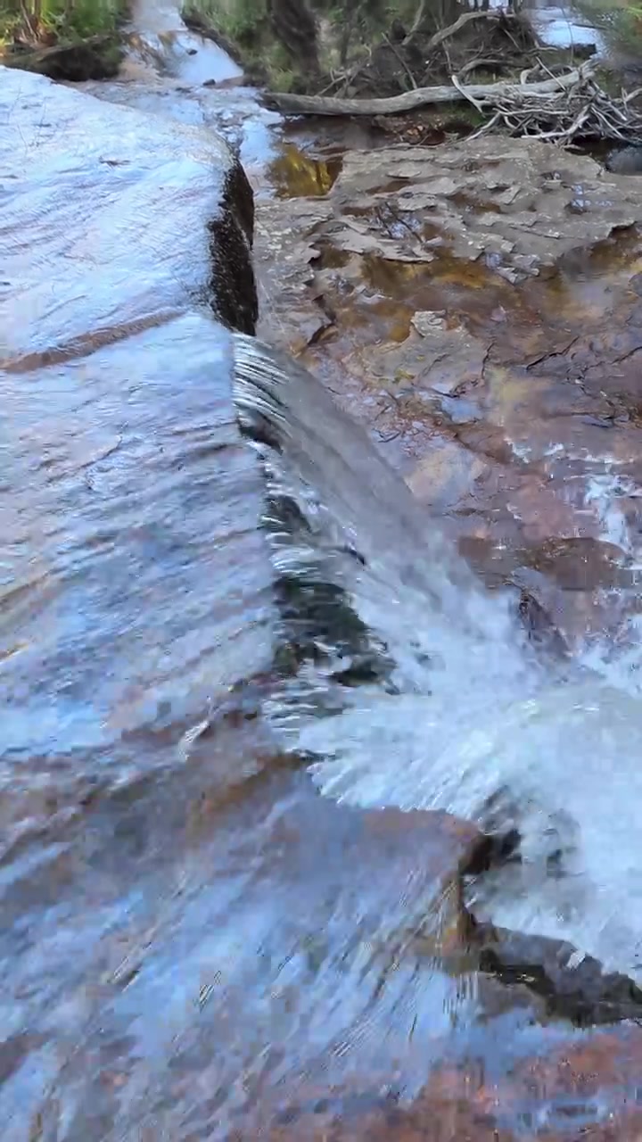 Piccola cascata che scorre su una sporgenza rocciosa nella foresta