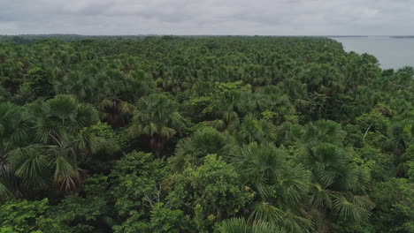 aerial shot close to amazon forest - para, brazil