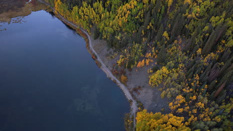 Aerial-View-of-Alpine-Lake-Water-and-Colorful-Foliage,-Fall-Season-in-Landscape-of-Colorado-USA